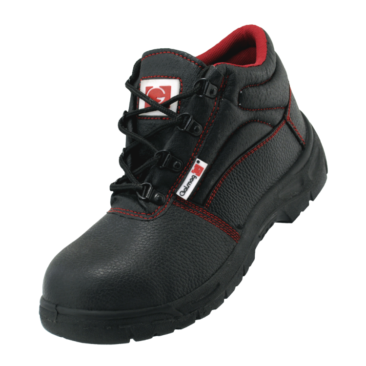 461_0001_copy (1).png