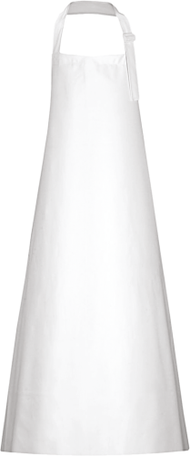 PROS-1 4077  | AJ-FW108W120