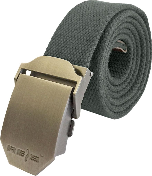 REIS-1 4318  | BELT-BOOMS