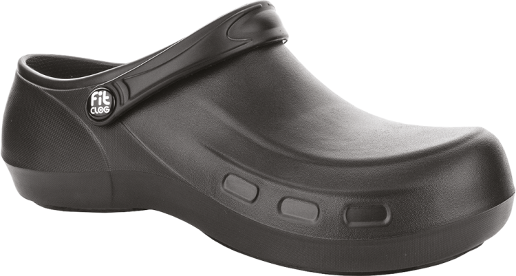 FITCLOG-1 4403  | BLFITCLOGPPB36