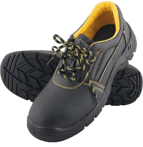 REIS-1 4819  | BRYES-P-S336