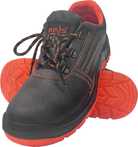 REIS-1 4829  | BRYESK-P-SB-P39