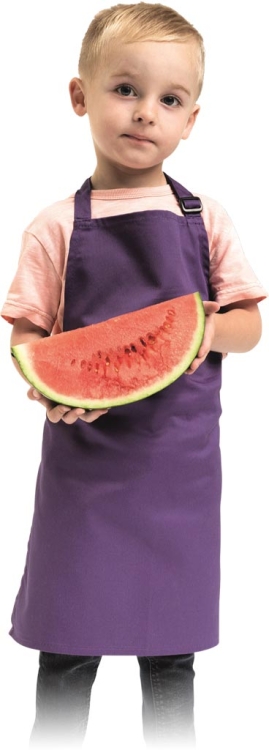 REIS-1 5311  | FKIDS43x53V