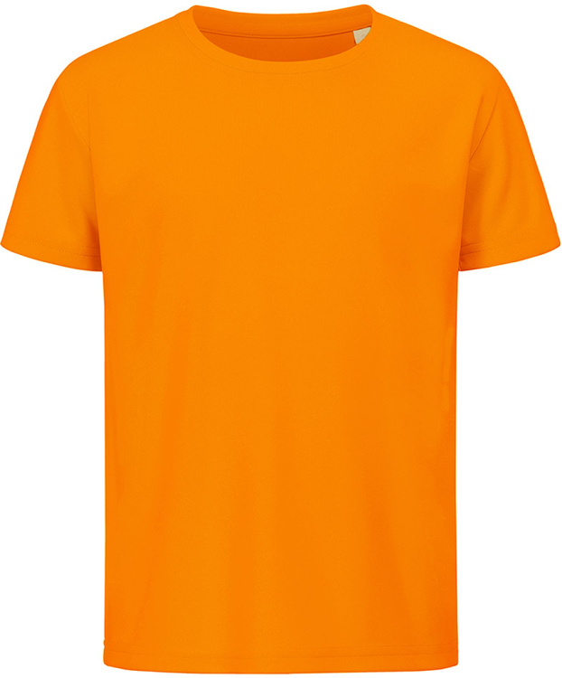 STEDMAN-1 5741  | SST8170CORL