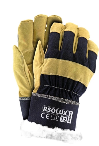 REIS-1 6239  | RSOLUX