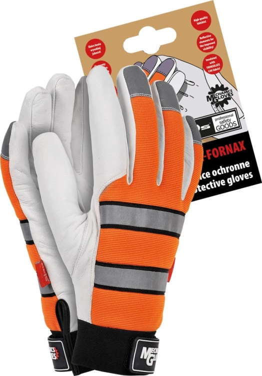 REIS-1 6407  | RMC-FORNAXL