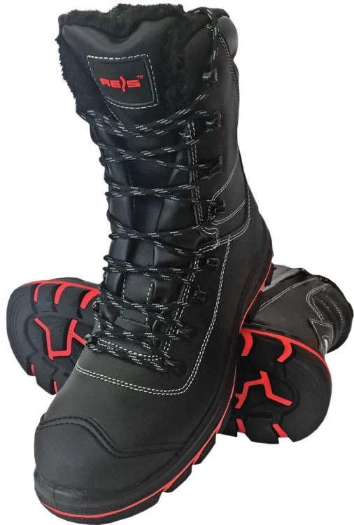 REIS-1 7893  | BRDIABLO39