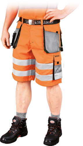 LEBER&HOLLMAN-1 8624  | LH-FMNX-TSPSBL