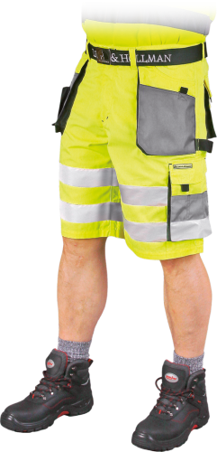 LEBER&HOLLMAN-1 8625  | LH-FMNX-TSYSBL