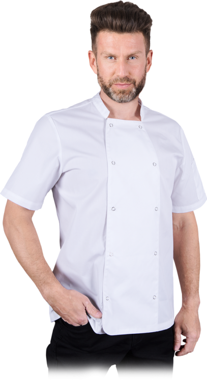 REIS-1 8946  | SEMPREW2XL