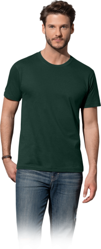 STEDMAN-1 9078  | ST2100BOGL