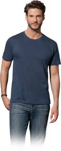 STEDMAN-1 9079  | ST2100GYHL