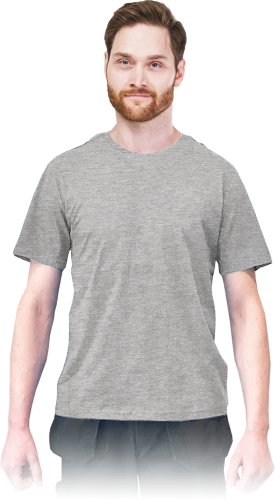 REIS-1 10569  | TSR-REGUDS2XL