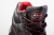 TRZEWIK RED O1 SRC-13 14181