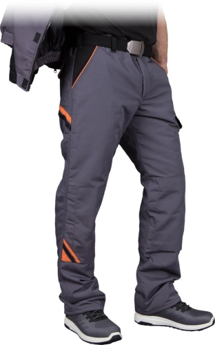 REIS-1 16456  | PRO-WIN-TSBP2XL