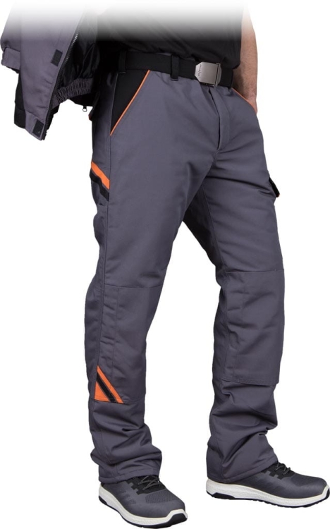 REIS-1 16456  | PRO-WIN-TSBP3XL