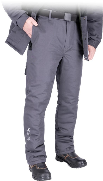 REIS-1 16839  | WINSAFE-T50