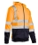 bluza_dresowa_brixton_flash_polstar_(17)1.jpg