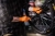 big-mercator-gogrip-50-szt-rekawice-nitrylowe-bezpudrowe-pomaranczowe_688324fb2378d.webp